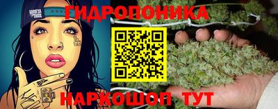 spice Апшеронск