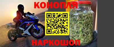 стафф Малгобек