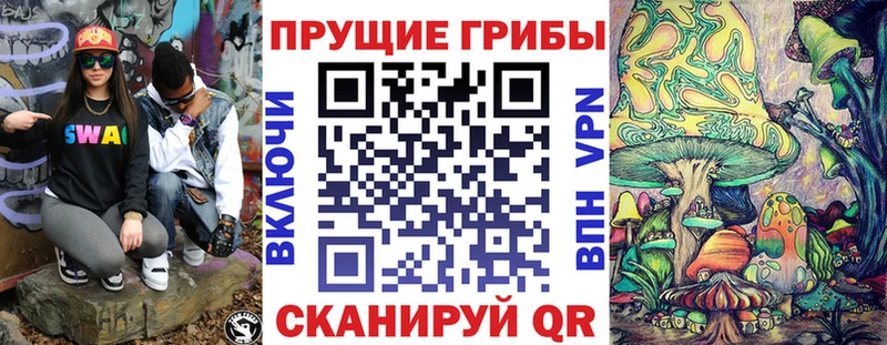 кракен ТОР  Морозовск  Псилоцибиновые грибы Psilocybe 