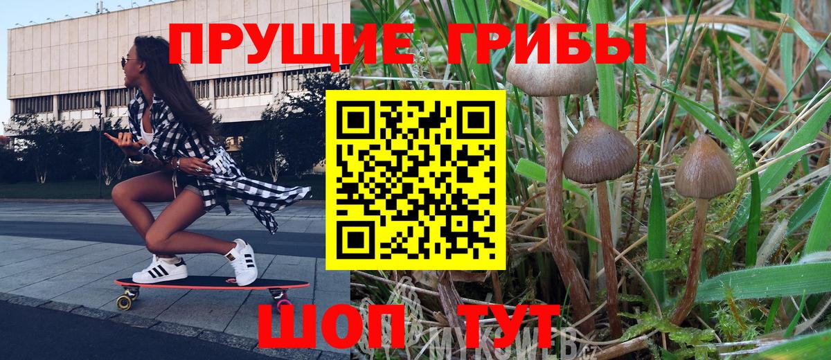 Галлюциногенные грибы ЛСД  Морозовск 